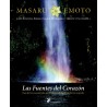 Las fuentes del corazón
